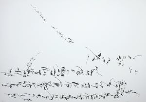 Henri Plaat - Litho, Zonder titel kopen? Bied vanaf 35!