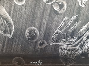 Anton Lutgerink - Dartel 1967 kopen? Bied vanaf 75!