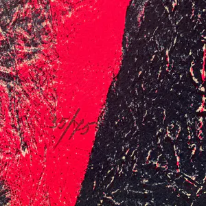 Vincent Mengin-Lecreult - Evolution kopen? Bied vanaf 35!