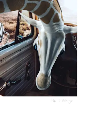 Mr. Strange - L' Aventurière kopen? Bied vanaf 40!