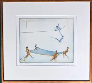 Ronald Tolman - Fiets op het slappe koord kopen? Bied vanaf 95!