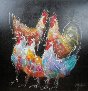 Caspar van Houten - kippen kopen? Bied vanaf 100!