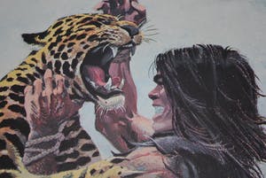 Gregor Rosinski - Thorgal: cover van De Zwarte Galei - 1e druk 1993 - handgesigneerd en genummerd kopen? Bied vanaf 65!