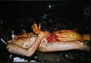 Cristobal Hara - C-Print op aluminium, Zonder titel - Ingelijst (Groot) kopen? Bied vanaf 1!