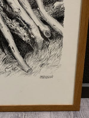 Patrick Creyghton - boomstronken kopen? Bied vanaf 49!