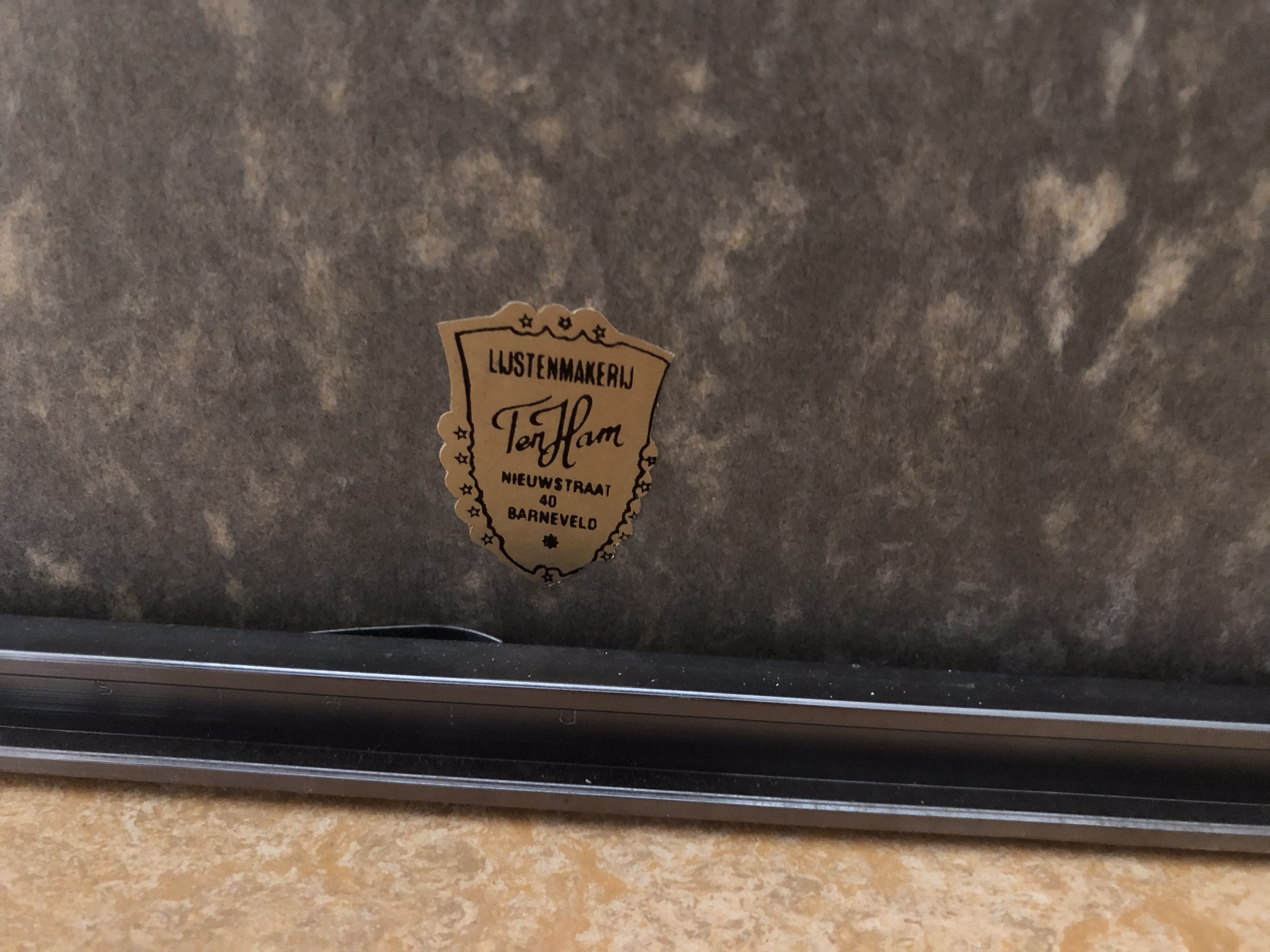 Edwin Brandt - Berkenbomen kopen? Bied vanaf 30!