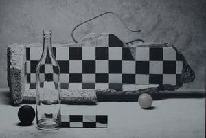 Curiosa - Peter Ruting Photography (Nikon Foto Galerie) kopen? Bied vanaf 1!