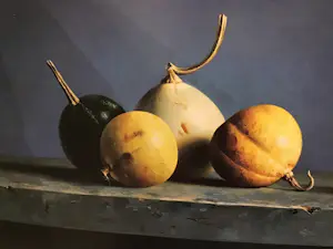 Annemiek Groenhout - Annemiek Groenhout kopen? Bied vanaf 25!