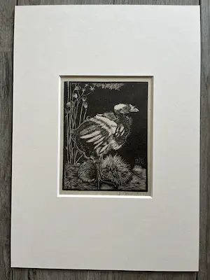 Jan Mankes - Originele Heliogravure - Nestkuiken 1927 kopen? Bied vanaf 95!