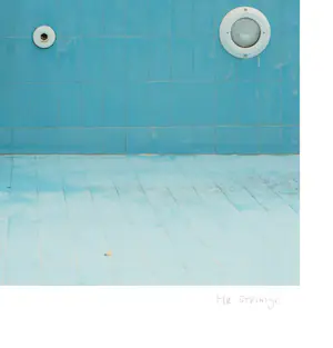 Mr. Strange - Het Blauwe Zwembad kopen? Bied vanaf 80!