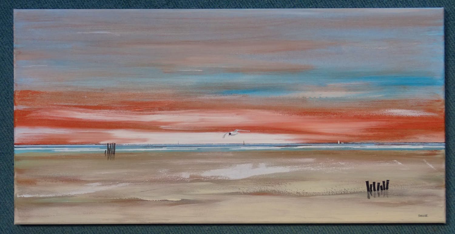 Franklin Meijer - Waddenzee kopen? Bied vanaf 55!