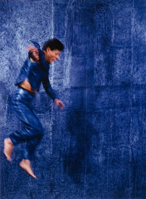 Jan Fabre - C-Print, Zonder titel - Ingelijst (Groot) kopen? Bied vanaf 800!