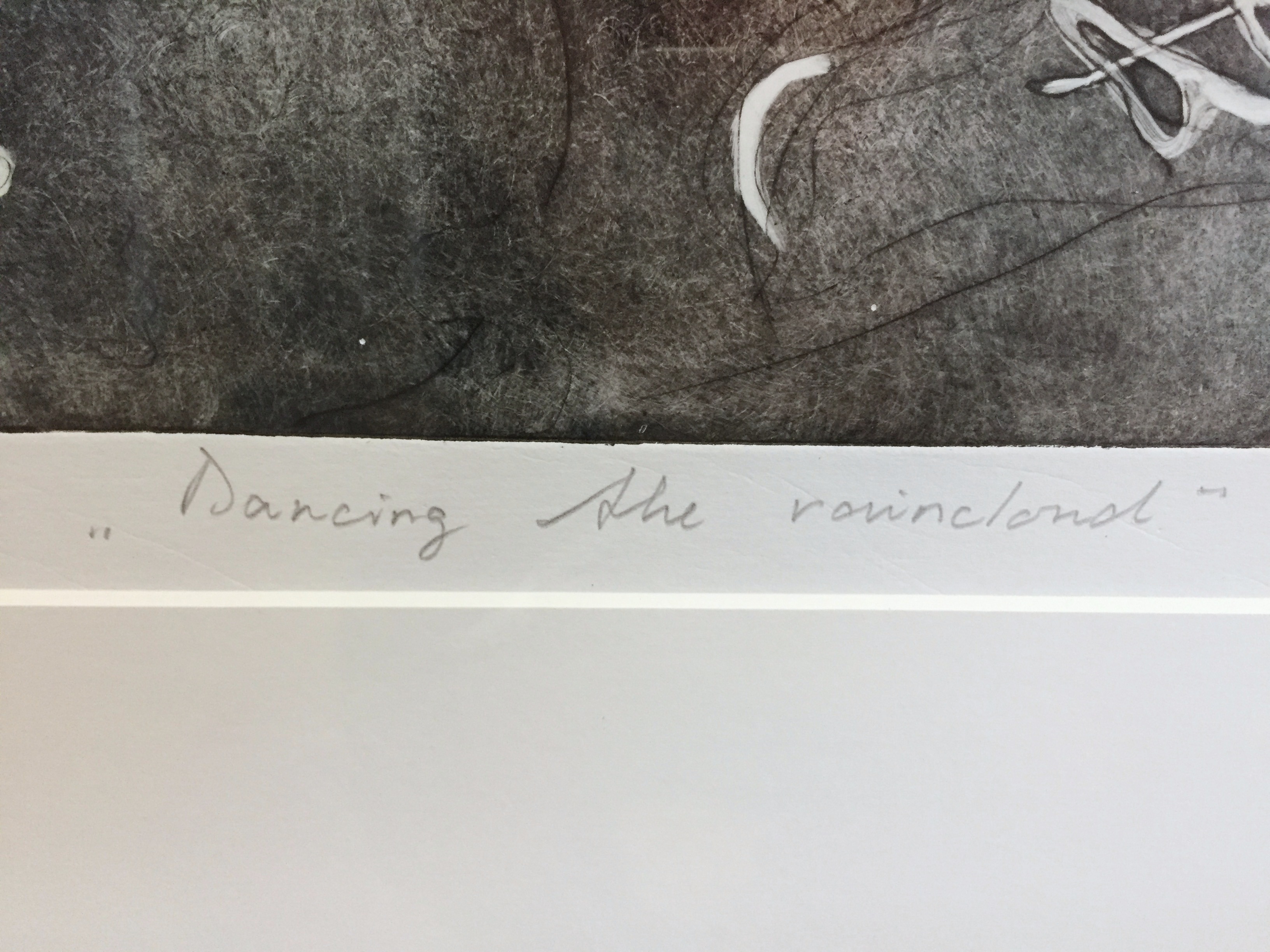 Ad Arma - Dancing The Raincloud (grote kleuren-ets / oplage 18 nr 2) kopen? Bied vanaf 300!