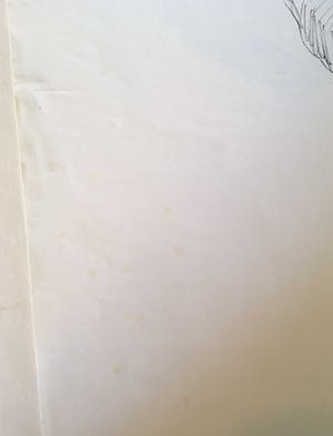 Aat Veldhoen - Rotaprint, Zittende man naakt kopen? Bied vanaf 1!