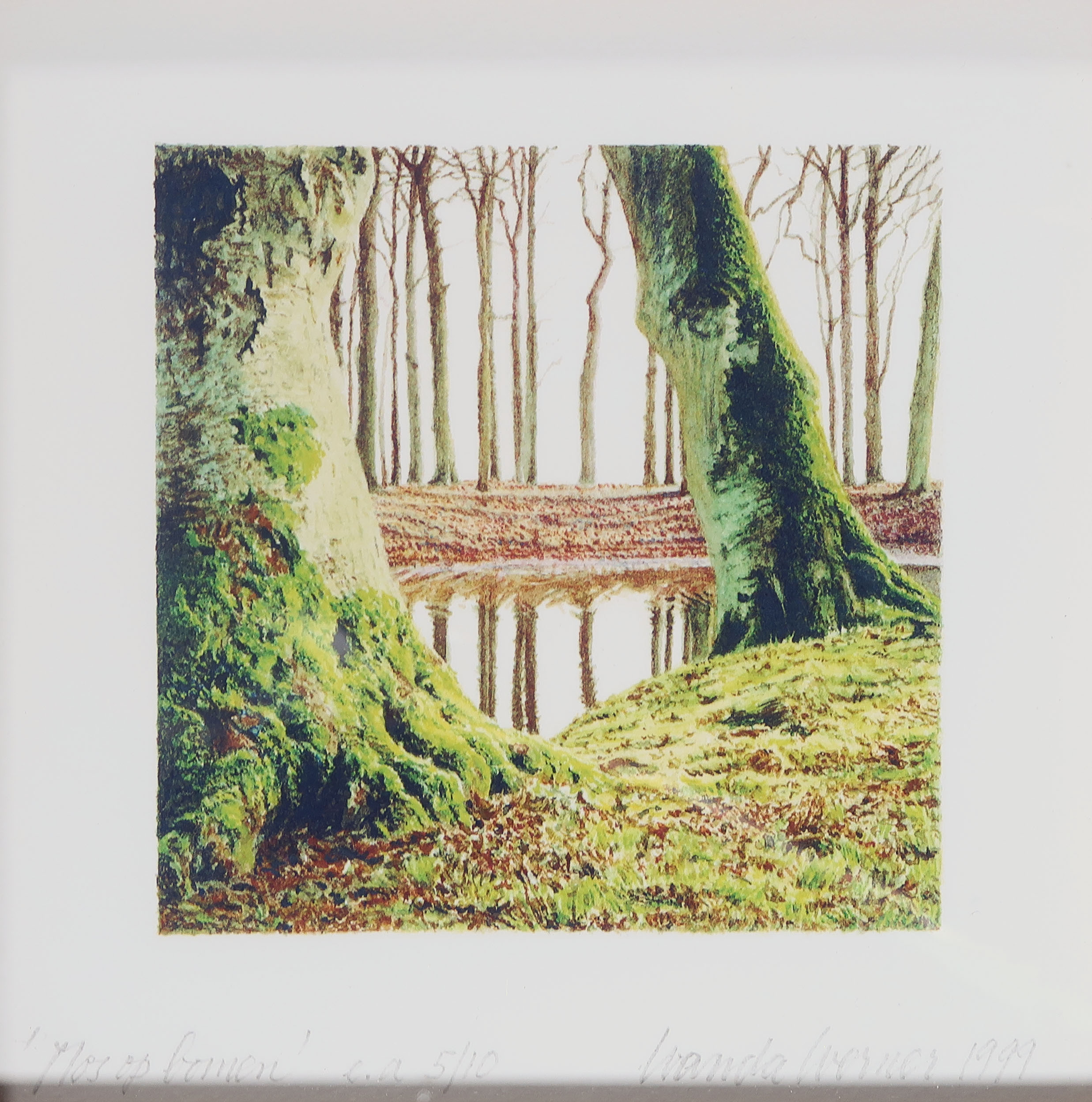 Wanda Werner - Piëzografie op papier, Vier seizoenen - Ingelijst (Groot) kopen? Bied vanaf 1!