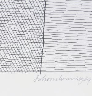 Jan Schoonhoven - Vorm kopen? Bied vanaf 250!