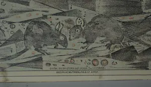 Theo van Hoytema - 7 litho's, verschillende dieren kopen? Bied vanaf 45!