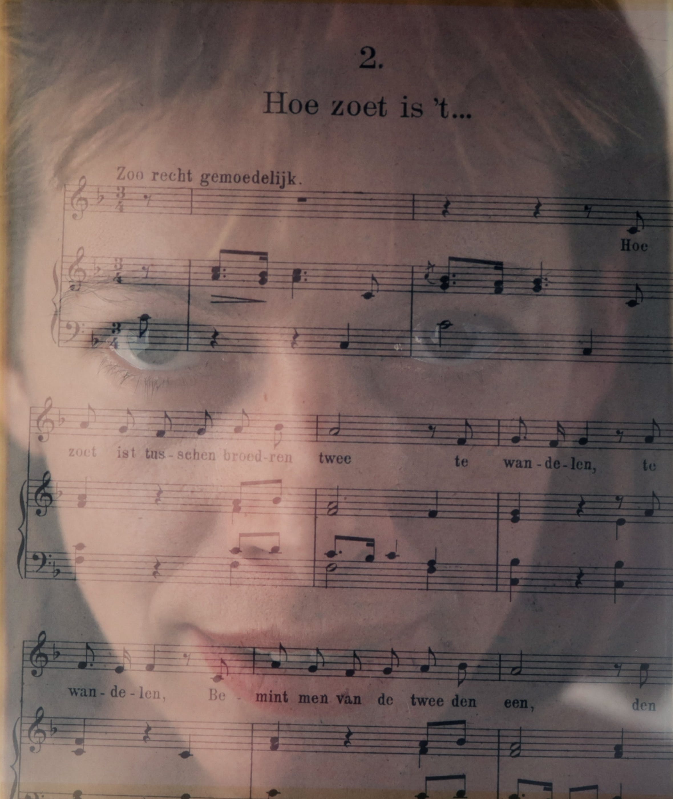 Toto Frima - Groot formaat Polaroid, Hoe zoet is 't... kopen? Bied vanaf 40!