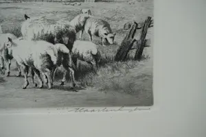 Maarten Langbroek - Voorjaar op Texel kopen? Bied vanaf 20!