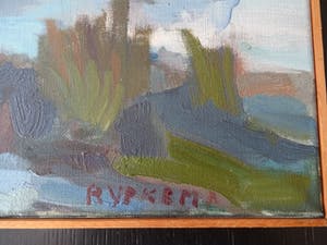 Nico Rijpkema - Water landschap kopen? Bied vanaf 3!