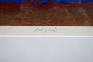 Hans Vanhorck - Litho, Labyrinth (rond) - Ingelijst (Galerieprijs €816,80) Zeer goede staat! kopen? Bied vanaf 30!