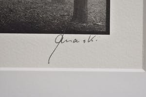 Ralph Janowski - Bomen kopen? Bied vanaf 1!