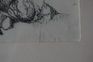 Pim Olivier - litho - Insekten met kikker kopen? Bied vanaf 40!