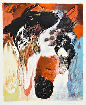 Bert Braam - Admisa verkocht voor € 50!