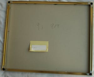 Paul Huf - Foto , Flowers , Bloemen – gesigneerd & ingelijst - 1984 kopen? Bied vanaf 75!