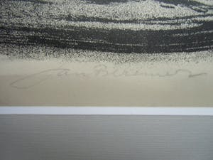 Jan Bezemer - ARGUSVOGEL /// LITHO VAN JAN BEZEMER kopen? Bied vanaf 50!