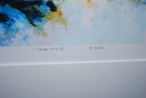 Mattie Schilders - Water - mooi ingelijste zeefdruk, 2006 kopen? Bied vanaf 40!