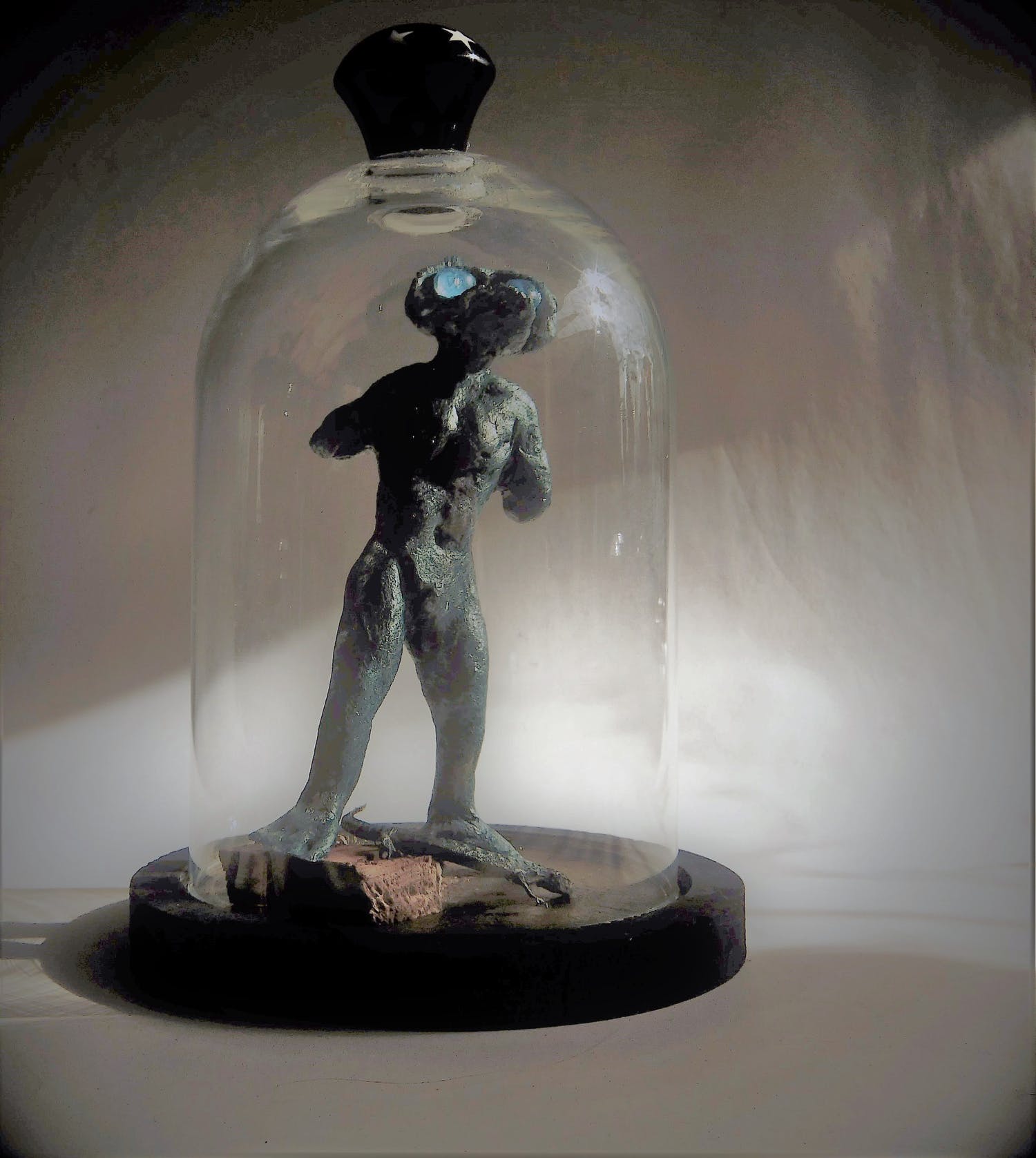 Loes van der Holst (1956)