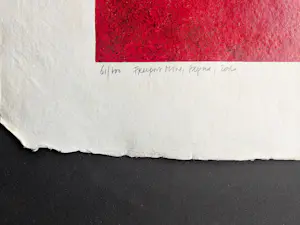 Jos van den Berg - Freeport mine Papua kopen? Bied vanaf 39!