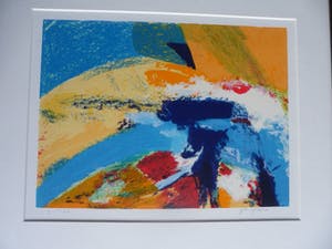 Niet of onleesbaar gesigneerd - Zeefdruk, Abstract werk. kopen? Bied vanaf 1!