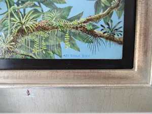 Ari Stolk - REUZENTOEKAN - Ramphastos Toco kopen? Bied vanaf 339!