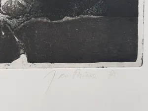 Jan Prins - Prachtige Ets - Gesigneerd in potlood kopen? Bied vanaf 15!