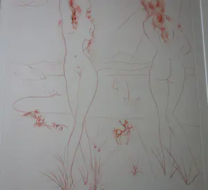 Salvador Dali - Espejo Vivo kopen? Bied vanaf 1650!