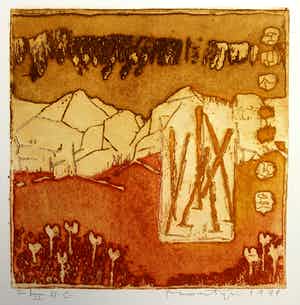 Jan Montyn - kleurenets - 1999 - oplage I/II HC verkocht voor € 75!