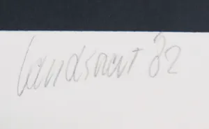 Hans Landsaat - Zeefdruk, Zonder titel kopen? Bied vanaf 40!