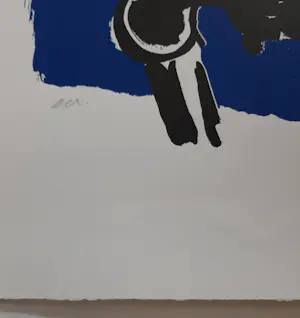 Peter Diem - Cow in de kleur kopen? Bied vanaf 1!