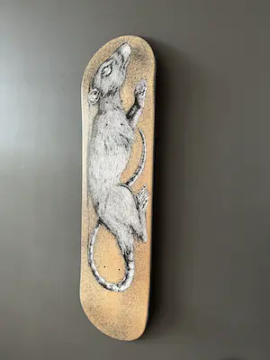 ROA - DECAY 1 kopen? Bied vanaf 500!
