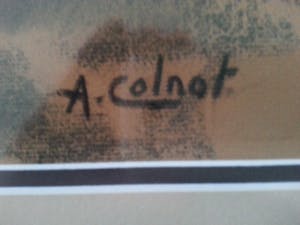 Arnout Colnot - Bergerbos kopen? Bied vanaf 275!