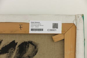 Dieter Hieszerer - Acryl op doek, Statement for a fantasy (Zeer groot) kopen? Bied vanaf 1!