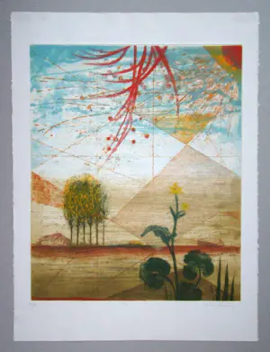 René Carcan - Été - 1980 - Ets met aquatint - Gesigneerd en genummerd kopen? Bied vanaf 180!