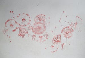 Hisako Viruly Abe - litho kleine oplage kopen? Bied vanaf 35!