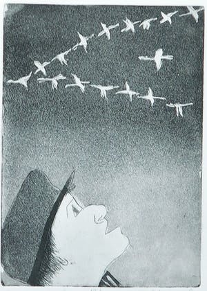 Niet of onleesbaar gesigneerd - Ets, Rare vogels - Ingelijst kopen? Bied vanaf 1!