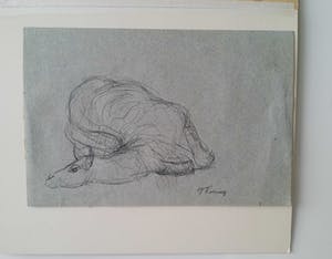 Jan Koning - Dromedaris. kopen? Bied vanaf 10!