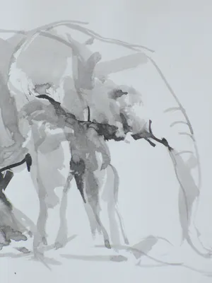 Willem van Dort - Oliefant - Gewassen inkttekening kopen? Bied vanaf 35!