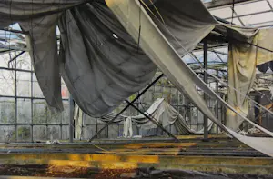 Xandra Cartens - Fotografie, Desolation - Ingelijst kopen? Bied vanaf 50!