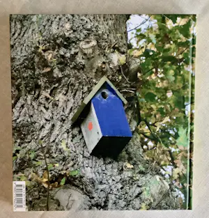 Leon Adriaans - Het leven schilderen is pakkend! kopen? Bied vanaf 50!